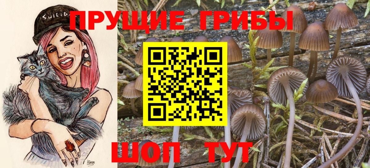 Псилоцибиновые грибы прущие грибы Отрадное
