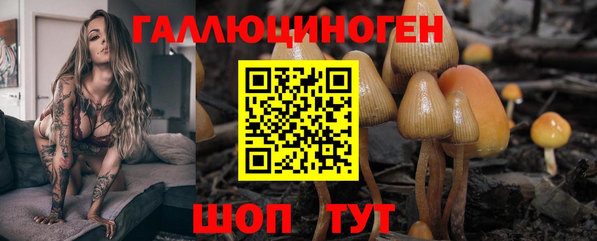 Псилоцибиновые грибы GOLDEN TEACHER  закладки  Галлюциногенные грибы Magic Shrooms  Отрадное  Вход с VPN 